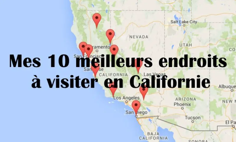 Les Sites De Chat Les Plus Visit s En France