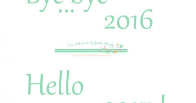 Statistiques de 2016 et MERCI ! Statistiques de 2016 et MERCI !
