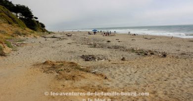 Un weekend camping à Manresa State Beach {Vidéo} Un weekend camping à Manresa State Beach {Vidéo}