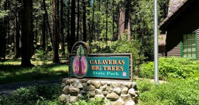 Calaveras Big Trees State Park Calaveras Big Trees State Park