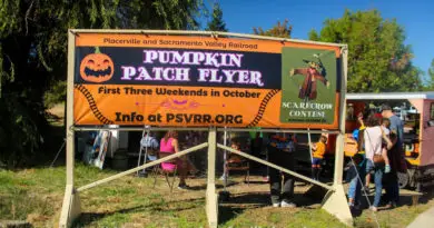 Un mini Pumpkin Patch à Folsom Un mini Pumpkin Patch à Folsom