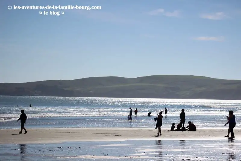 point-reyes-ken-patrick (2)