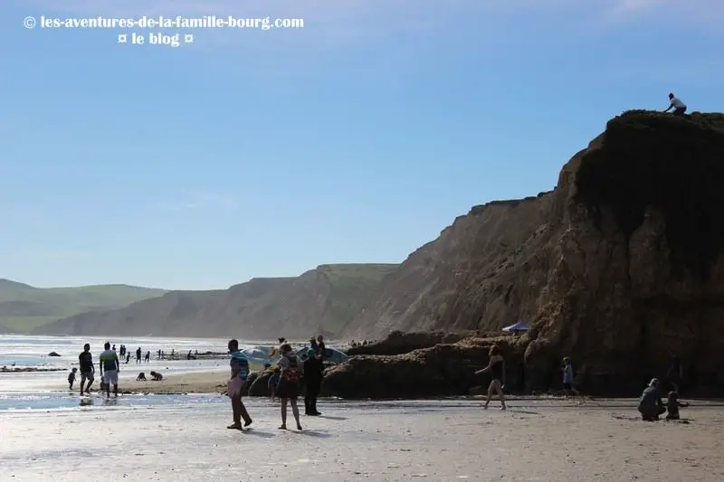 point-reyes-ken-patrick (4)