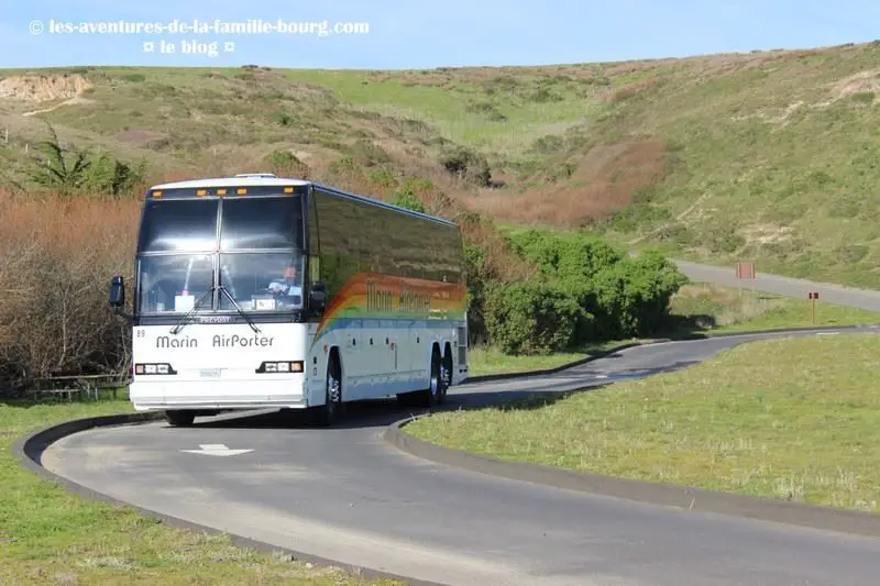 point-reyes-ken-patrick (5)