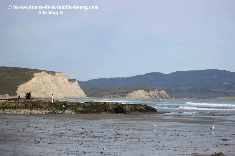 point-reyes-ken-patrick