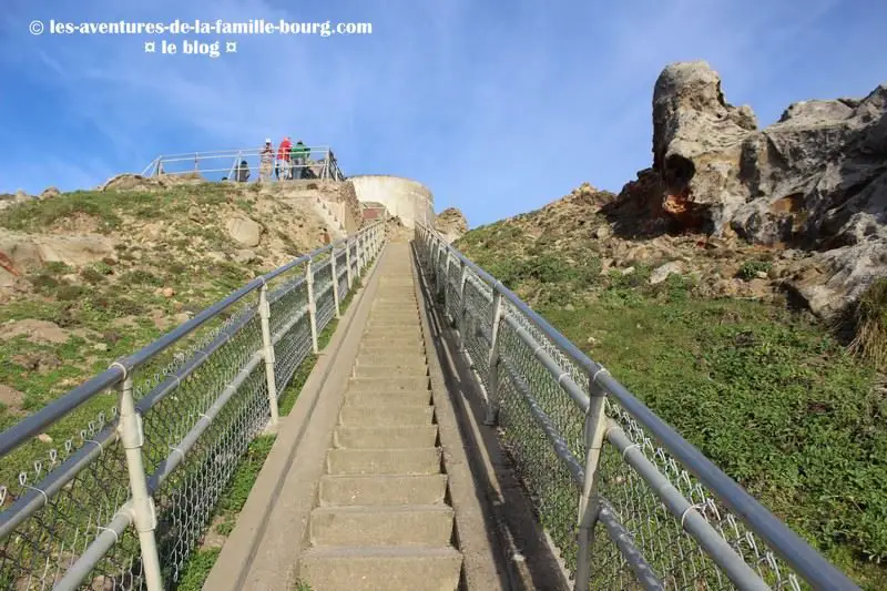 point-reyes-lighthouse (17)