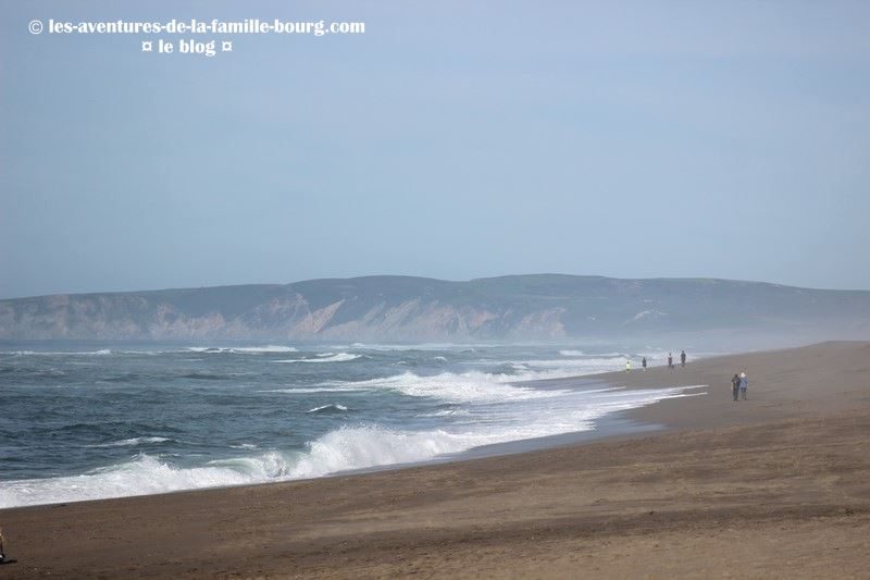 point-reyes-south-beach (2)