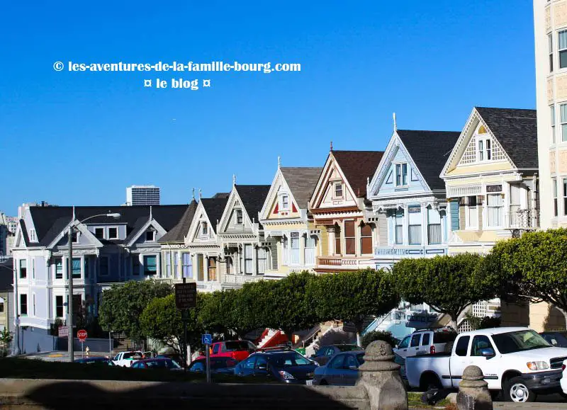 paintedladies copy