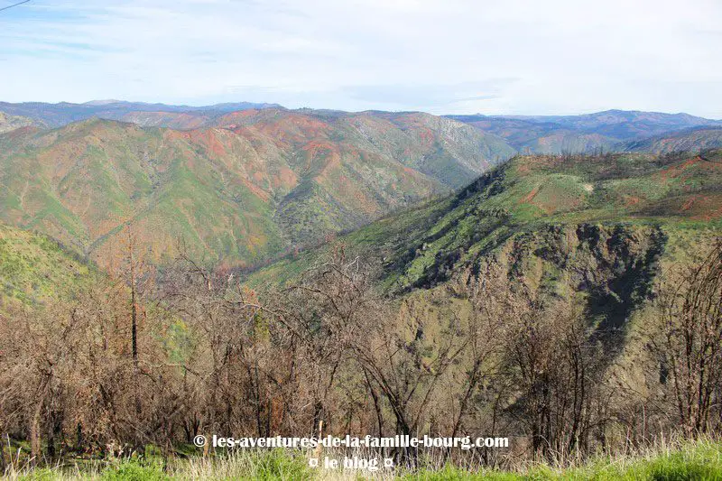 stanislaus-national-forest