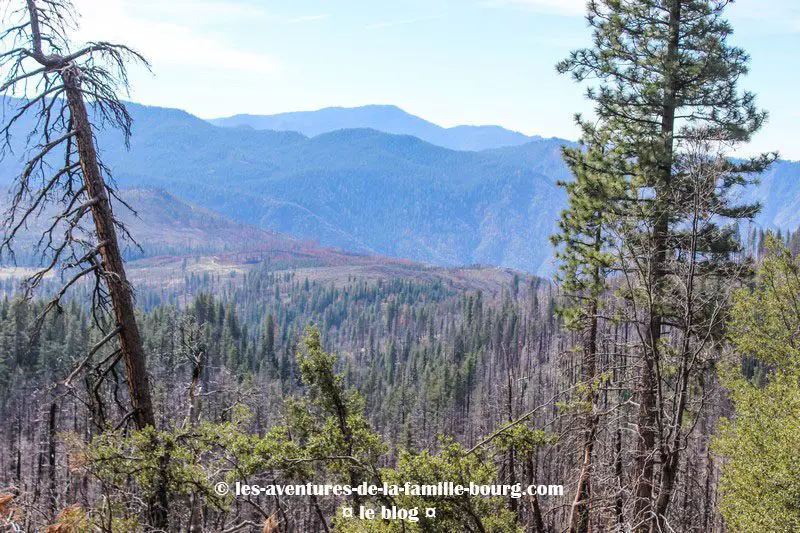 yosemite-national-park (3)