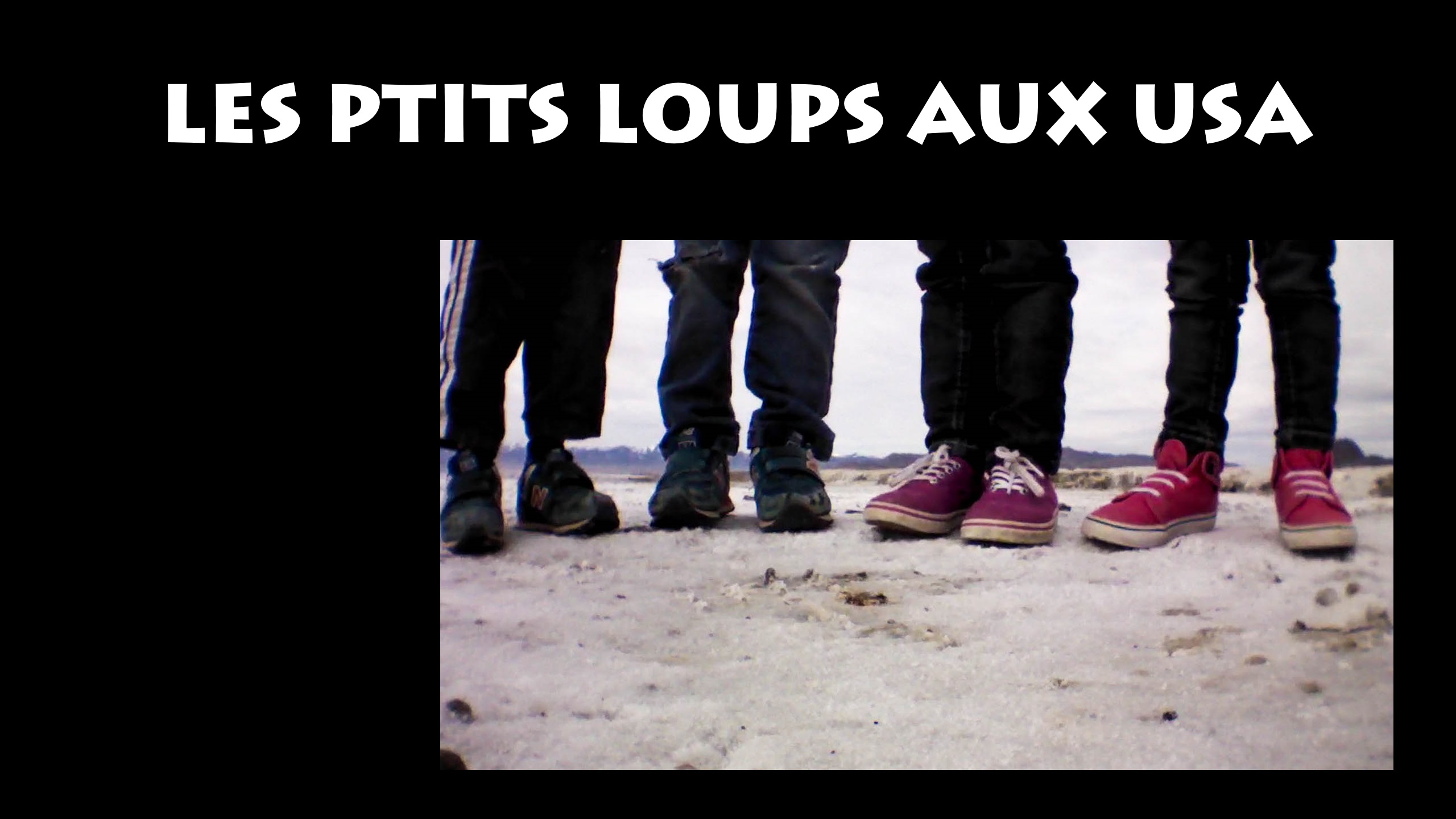 banner-lesptitsloupsauxusa