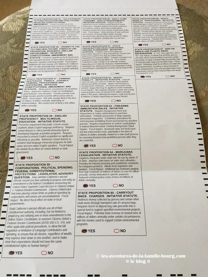 ballot-elections-presidentielles-2016-2