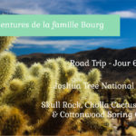 {Road Trip Mars 2018 – jour 6} Une deuxième journée dans le Joshua Tree NP {Vidéo} {Road Trip Mars 2018 – jour 6} Une deuxième journée dans le Joshua Tree NP {Vidéo}