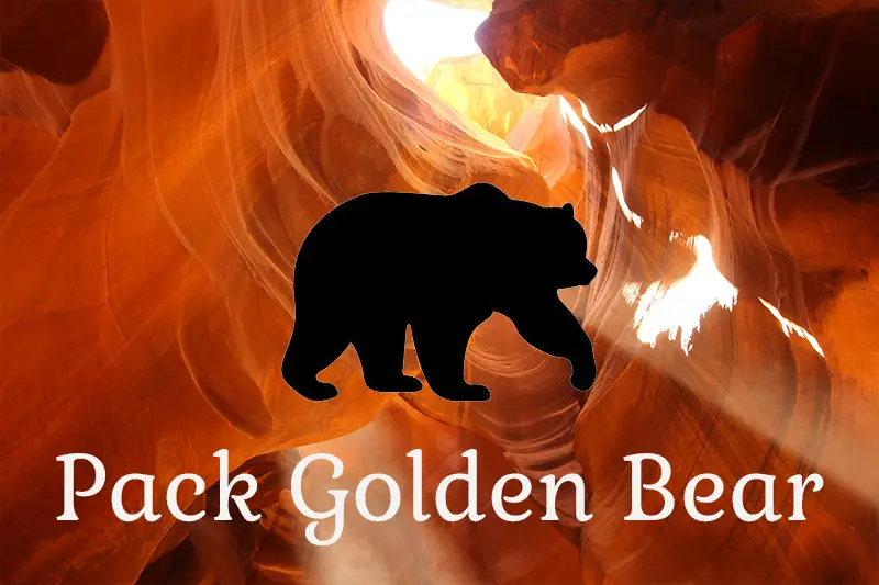 Pack Golden Bear