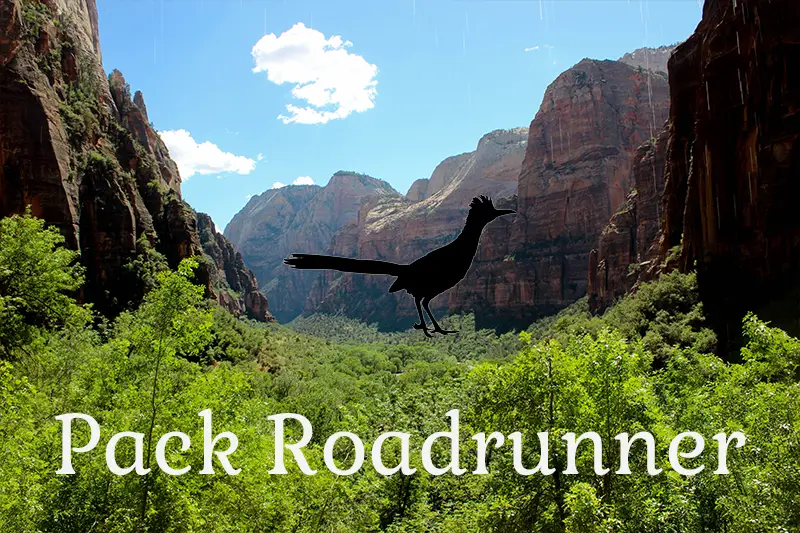 Pack Roadrunner