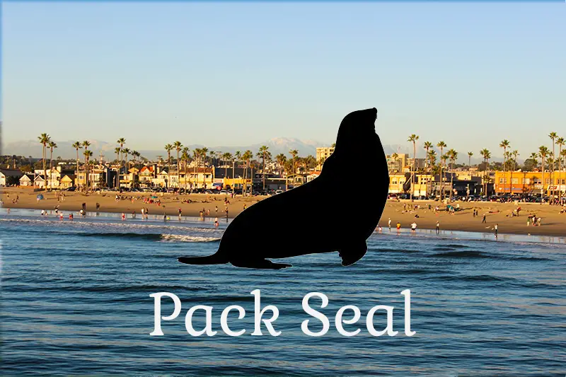 Pack Seal